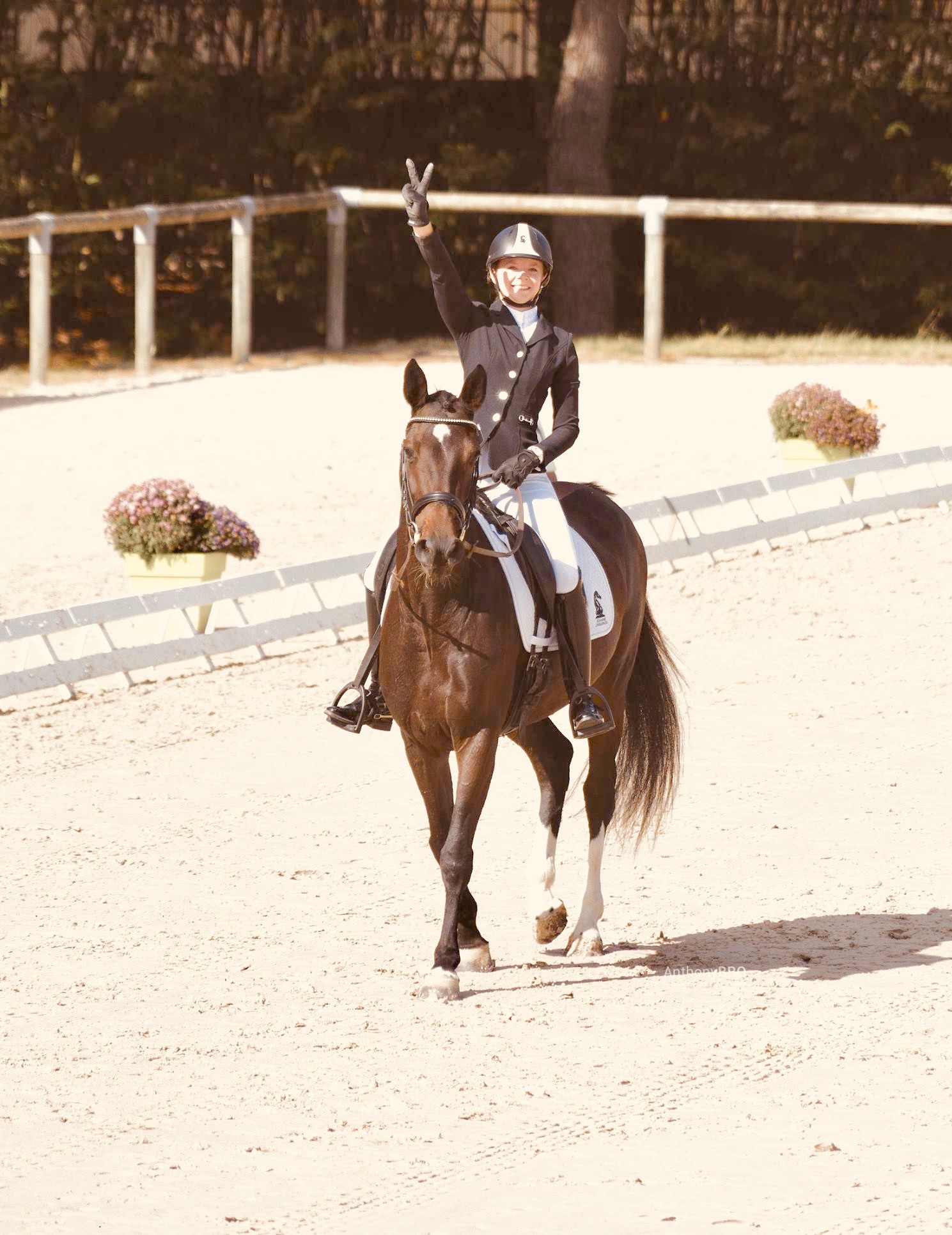 Dressage, Diana de Hus, 2016